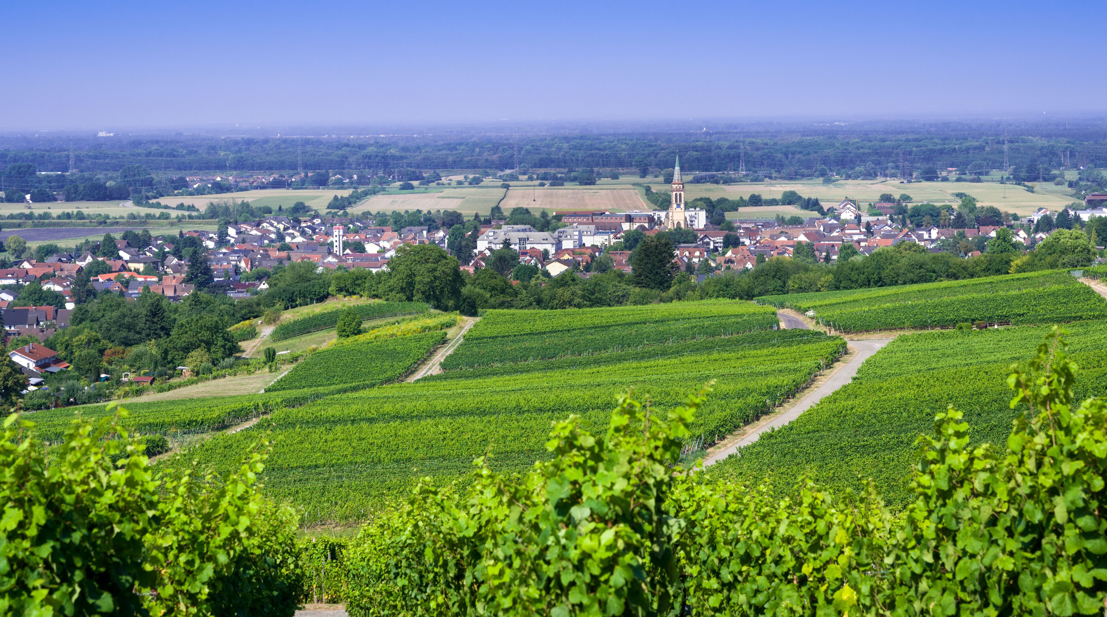 View from Fremersberg to the town of Sinzheim with the Rhine valley near Baden Baden. Baden Wuerttemberg, Germany
