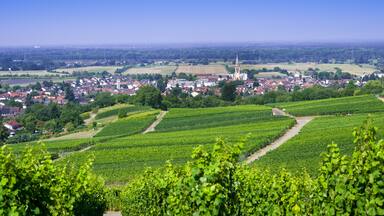 View from Fremersberg to the town of Sinzheim with the Rhine valley near Baden Baden. Baden Wuerttemberg, Germany