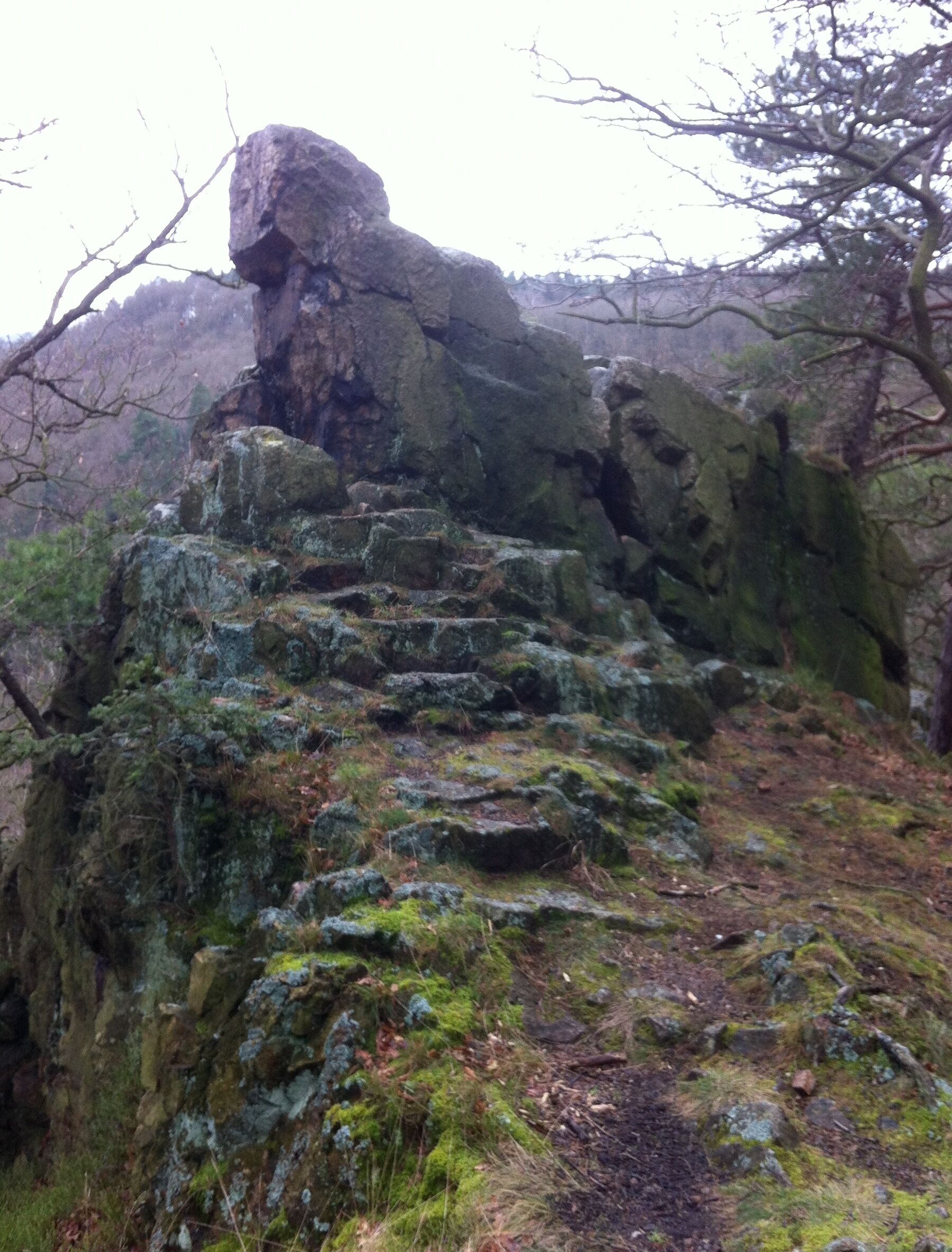 Anhaltinischer Saalstein