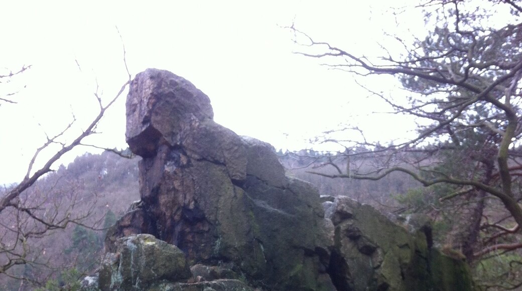 Anhaltinischer Saalstein