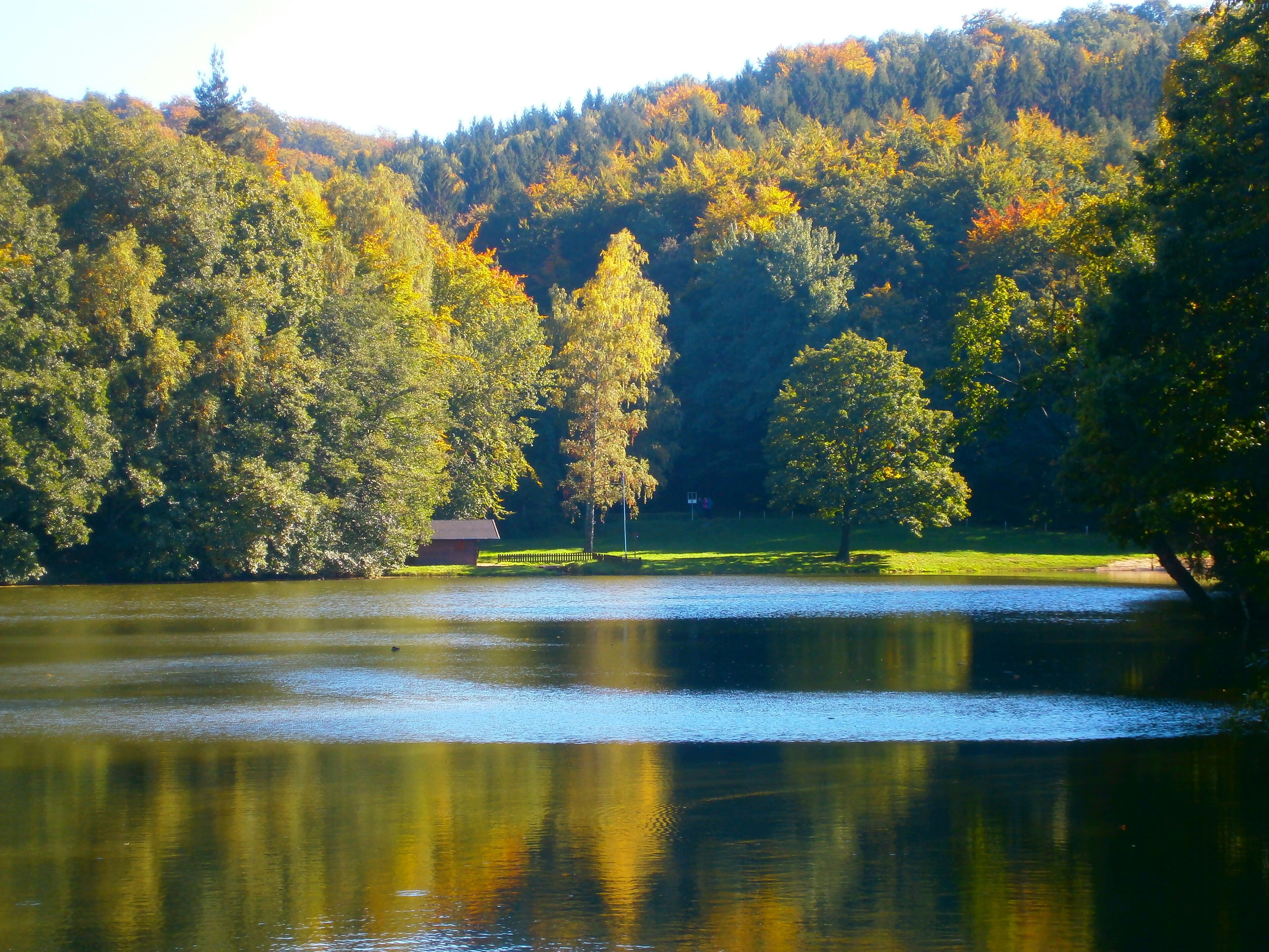 A calm lake surrounded by dense forest with autumn foliage.