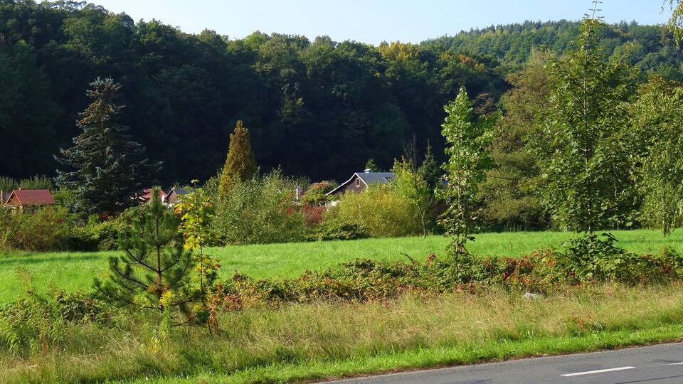 A rural landscape with a road, green fields, and houses in the background.