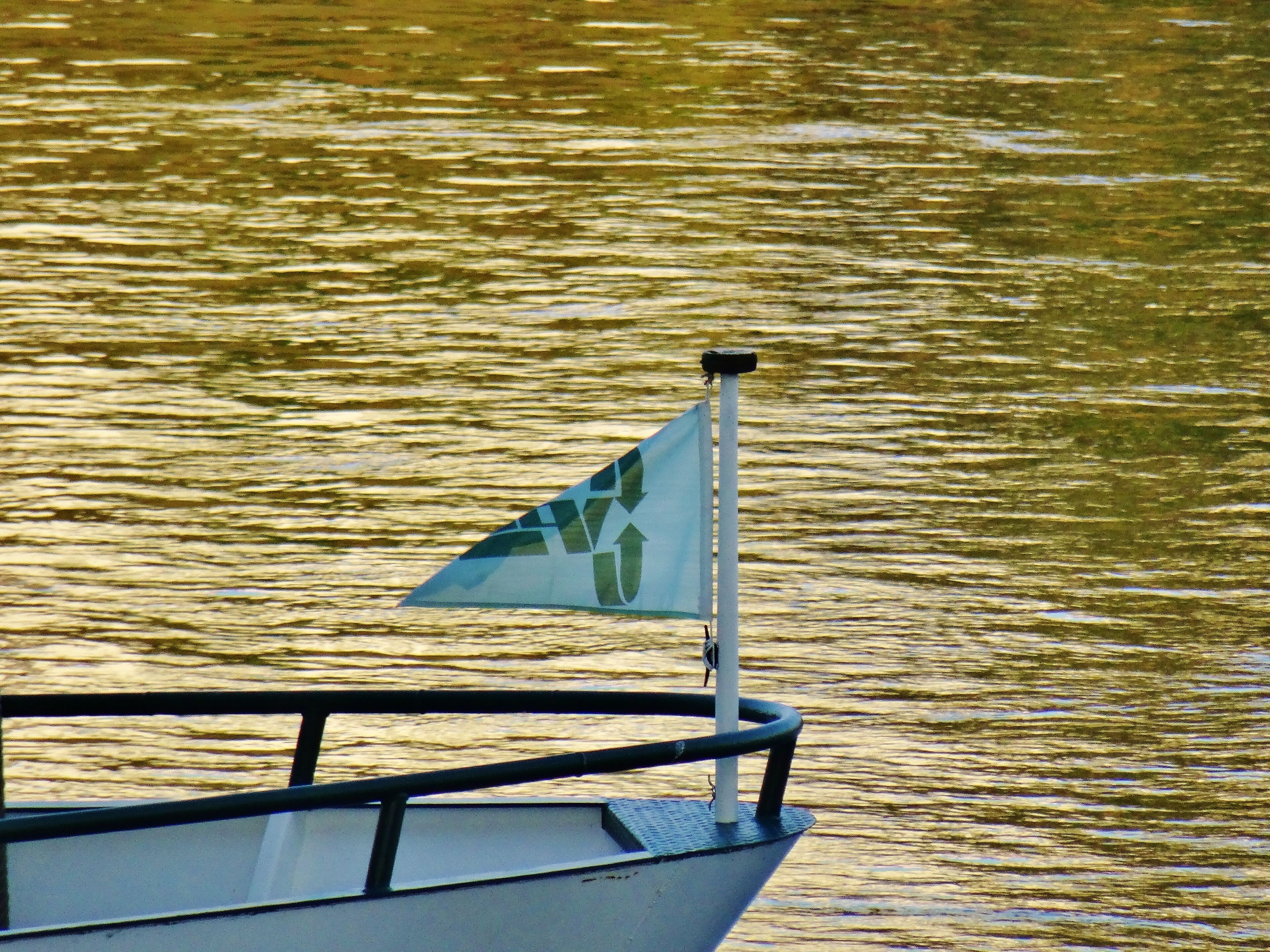 Elbe Ferry Pirna - Heidenau