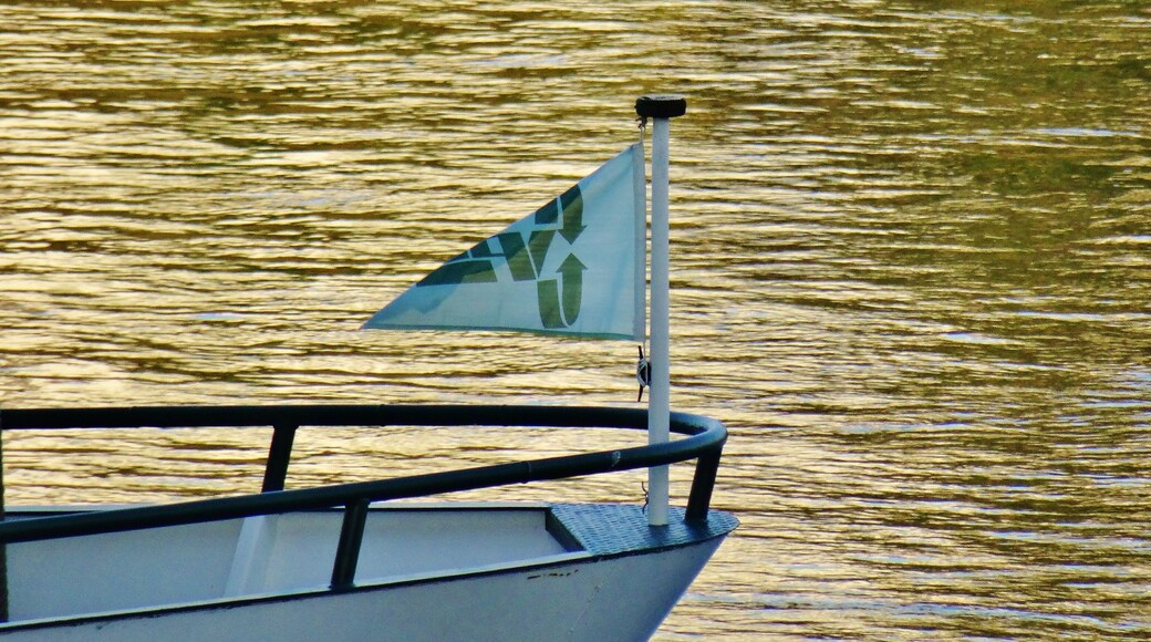 Elbe Ferry Pirna - Heidenau