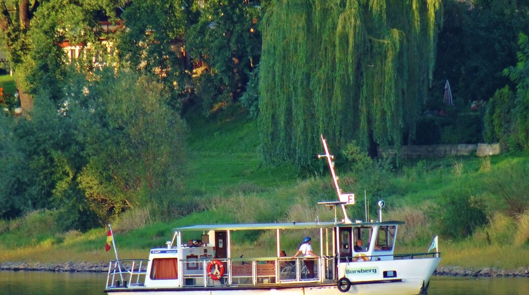 Elbe Ferry Pirna - Heidenau