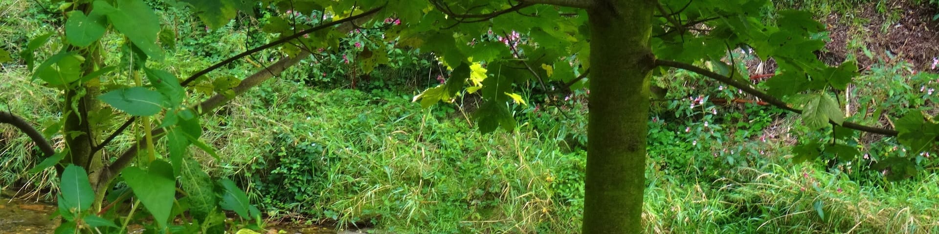 Rottwerndorfer Straße, Pirna