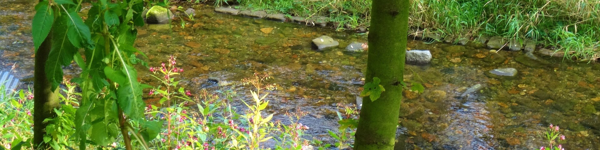 Rottwerndorfer Straße, Pirna