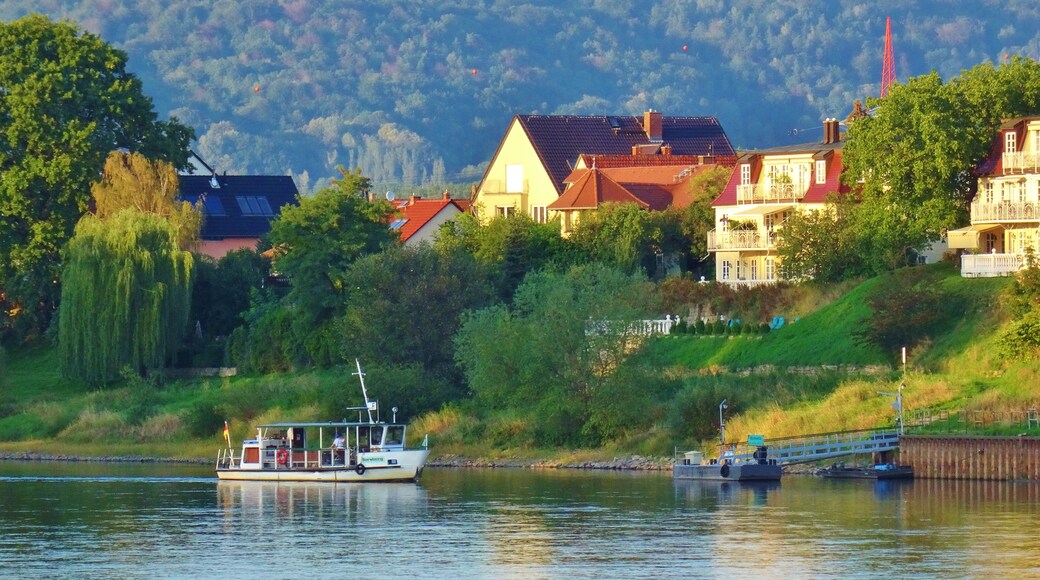Elbe Ferry Pirna - Heidenau