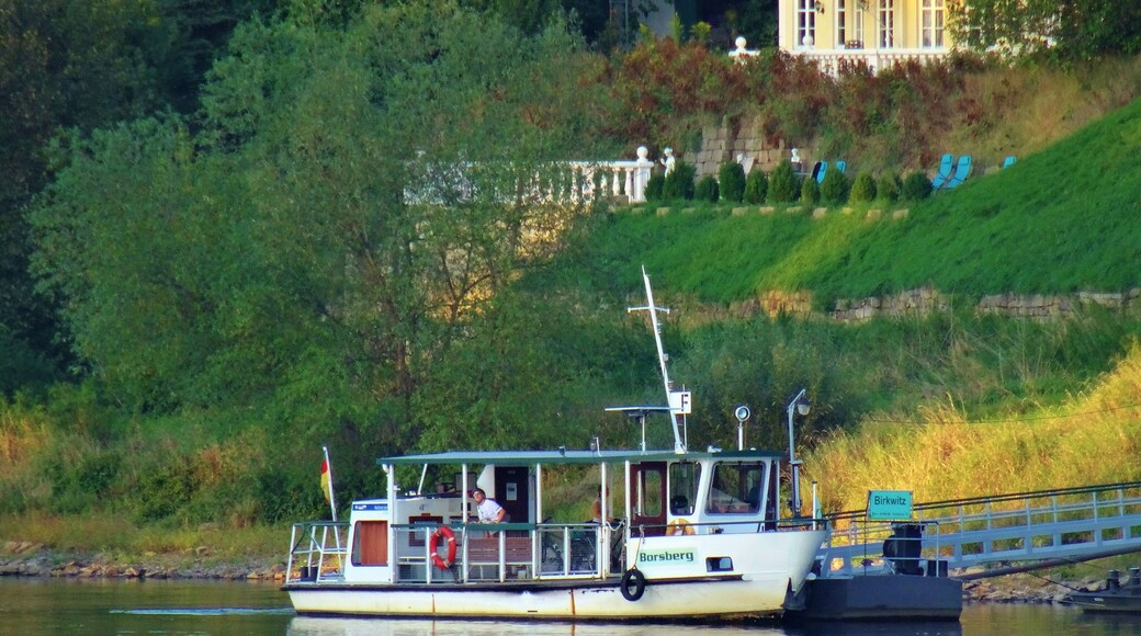 Elbe Ferry Pirna - Heidenau
