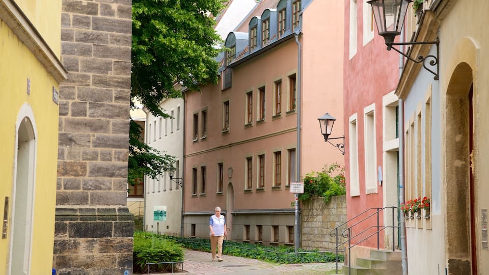 A narrow street with historic buildings, a person walking, and a stone pillar.