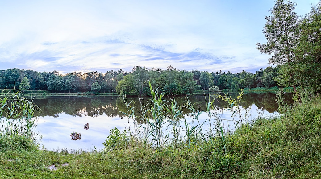 Panorama picture of lake in Gundwiesen recreation area close to Frankfurt airport