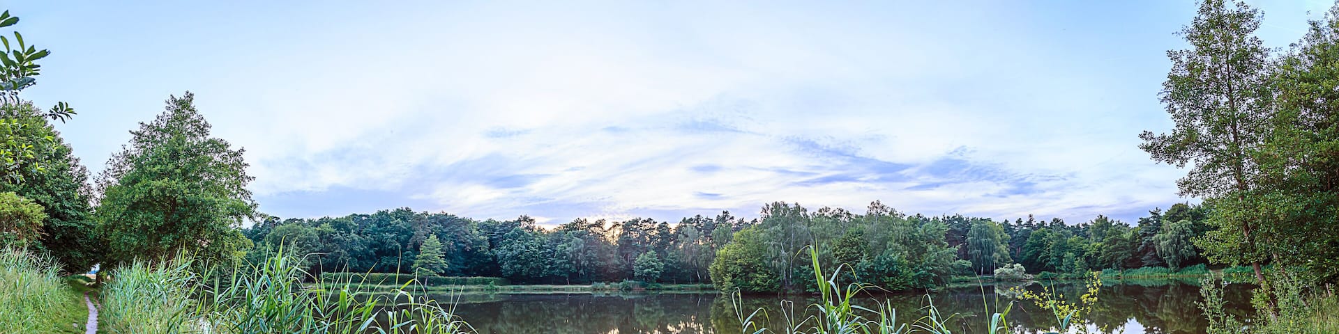 A serene lake surrounded by lush greenery and trees.