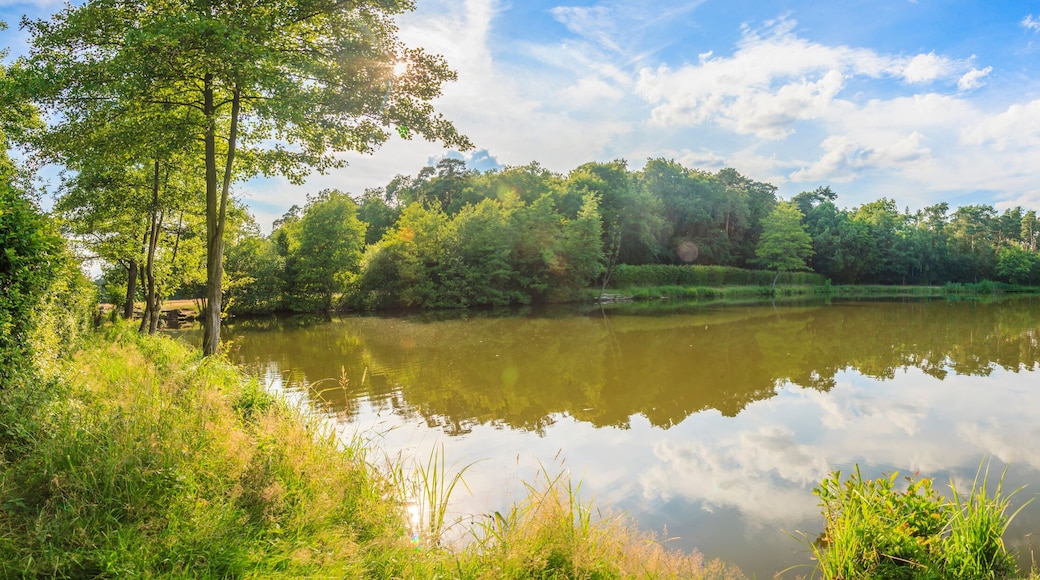 Peaceful scene from lovely small lake near Frankfurt in twillight