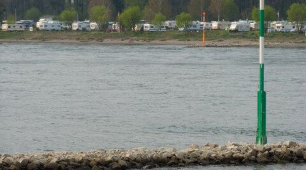 Der Rhein zwischen Zons und Baumberg