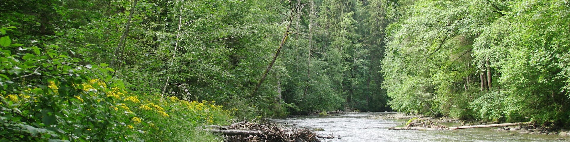 Die Wertach unter der Autobahnbrücke, flussabwärts