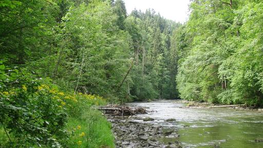 Die Wertach unter der Autobahnbrücke, flussabwärts