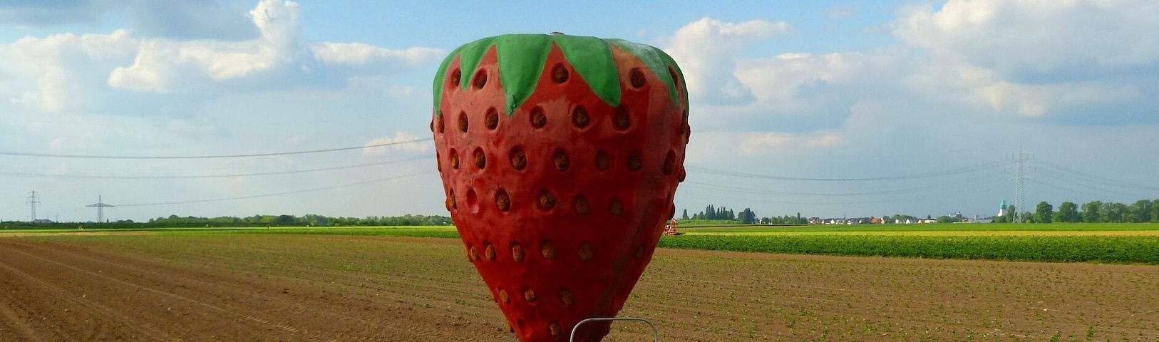 Strawberry