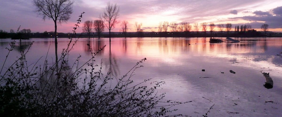 A calm lake at dusk with bare trees silhouetted against a purple sky.