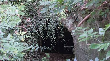 Der Eingang zum denkmalgeschützten Eiskeller an der Rehhofsteige in Niederstetten.