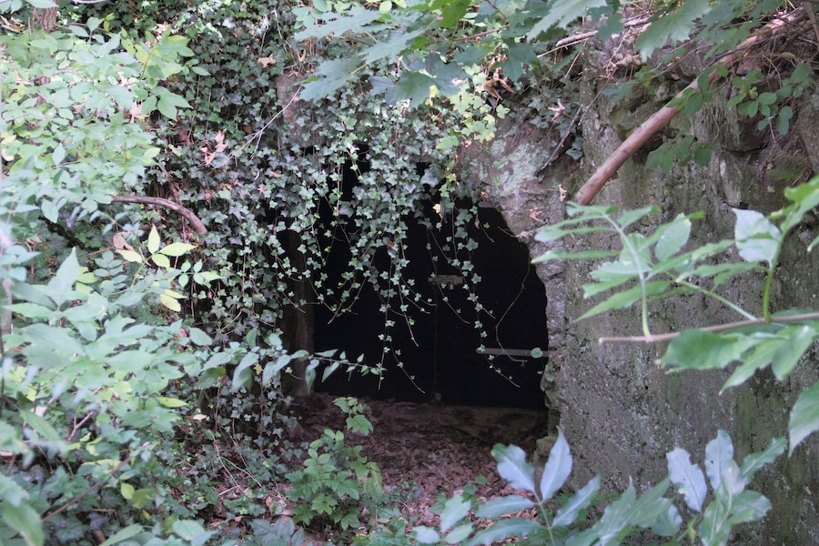 Eingang einer Höhle, umgeben von dichtem Grün.