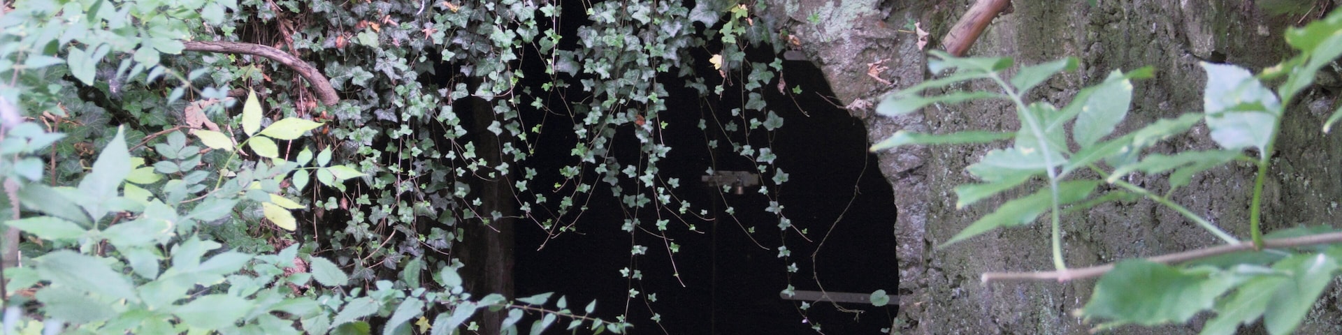 Der Eingang zum denkmalgeschützten Eiskeller an der Rehhofsteige in Niederstetten.