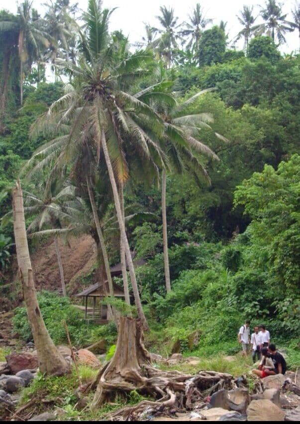 To find Waterfall (From Denpasar navigate your vehicle towards Stanger / Gianyar. After passing Sukawati Art Market, continue your journey to arrive at an intersection with a red light and there is a direction to Tegenungan. From the intersection, you turn right as far as 1500 meters, and arrived at Tegenungan Waterfall.)
