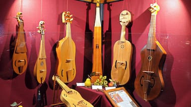 The surprise was the Sala della Musica (Music Room), a veritable treasure trove of historic musical instruments from woodwind to stringed going back to the 10th century. It was fascinating, not least of all to view a forerunner of the bagpipes that the Irish and Scots have claimed for decades. Their piece de resistance however, is a bone flute, claimed to be the oldest musical instrument in the world. They have a local musical group that plays, it must be something special, but we will never get to hear them.