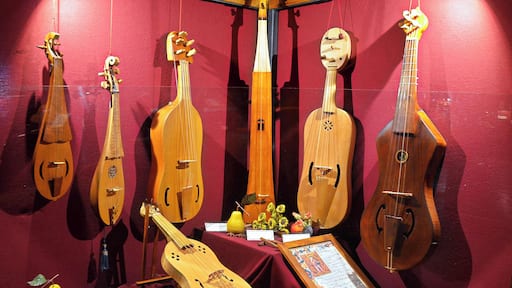 The surprise was the Sala della Musica (Music Room), a veritable treasure trove of historic musical instruments from woodwind to stringed going back to the 10th century. It was fascinating, not least of all to view a forerunner of the bagpipes that the Irish and Scots have claimed for decades. Their piece de resistance however, is a bone flute, claimed to be the oldest musical instrument in the world. They have a local musical group that plays, it must be something special, but we will never get to hear them.