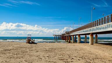 A beach with a pier extending into the ocean, a lifebuoy on the sand, and a ship in the distance.