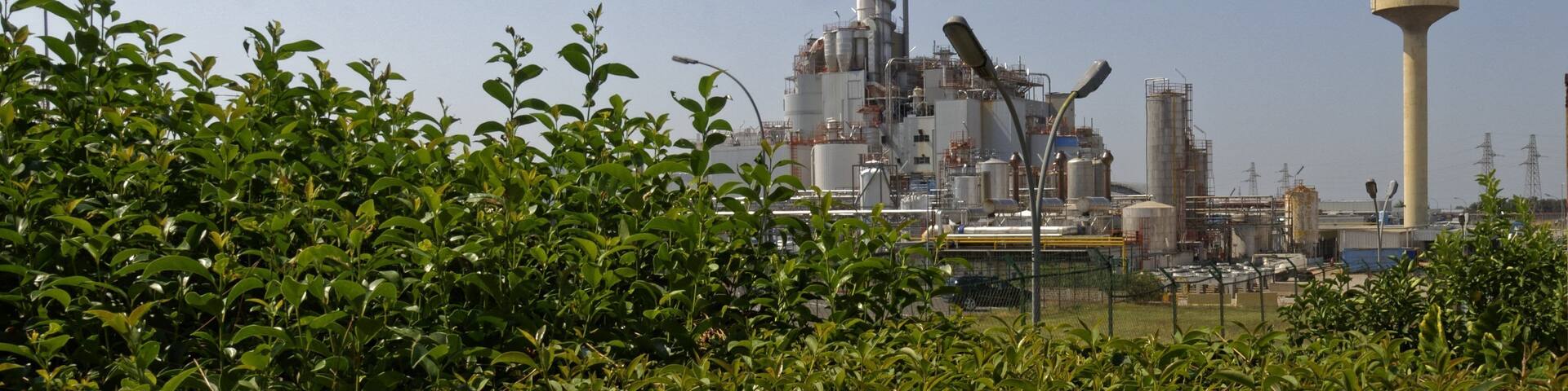 Santa Palomba 2015 Dieses Foto entstand in Zusammenarbeit mit Stadtbesichtigungen.de Die Seiten Stadtbesichtigungen.de, der dazugehörige Reise Blog sowie die Facebookseite: Stadtbesichtigungen Rom dürfen dieses Bild für Ihre Veröffentlichungen ohne den Hinweis auf Wikipedia, Commons bzw der Lizenz verwenden. Die Verantwortlichen habe von mir (Ra Boe) die Originaldaten zur freien Verfügung übermittelt bekommen.