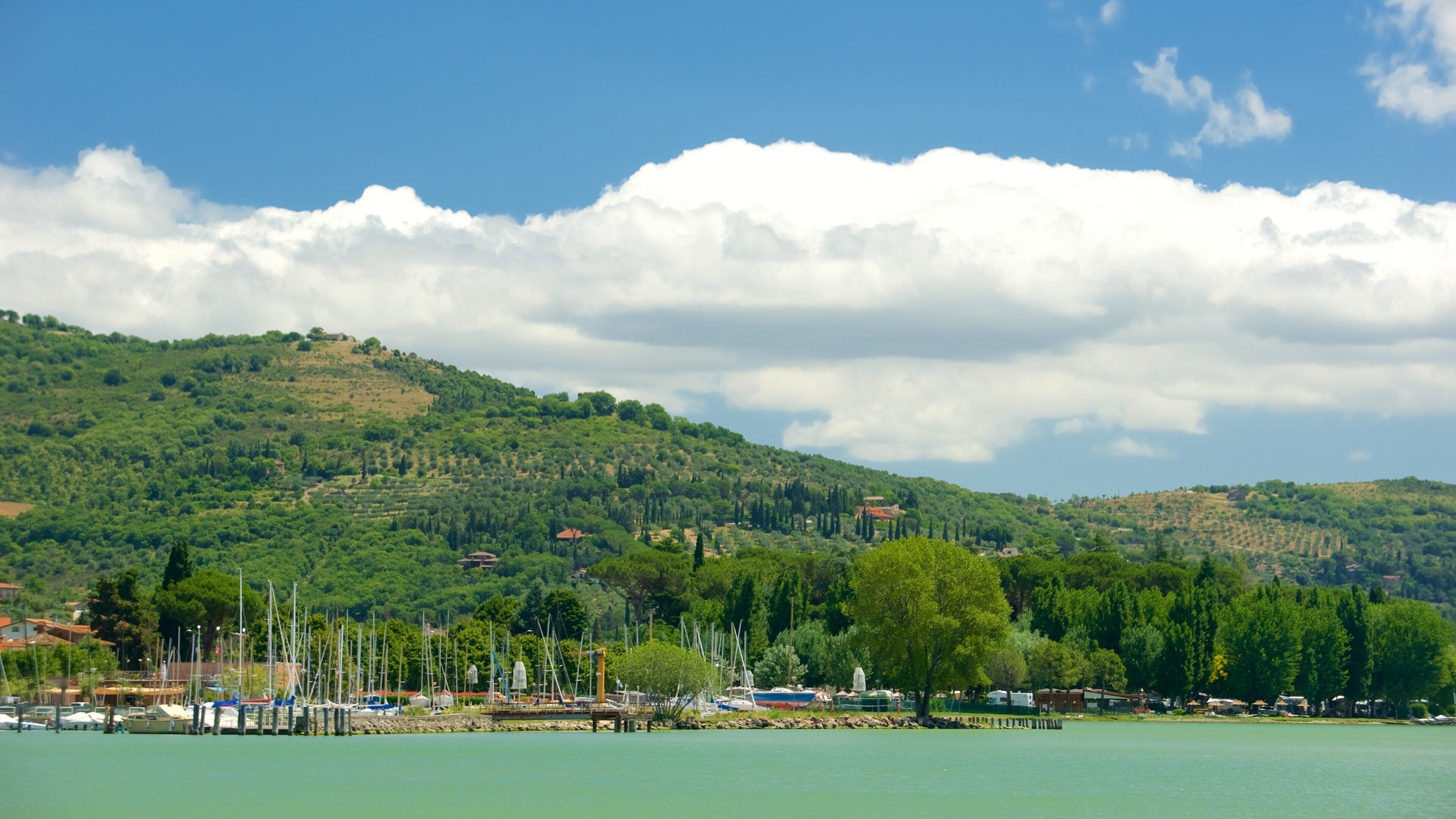 A lake with boats, a marina, and a hilly landscape with trees and buildings.