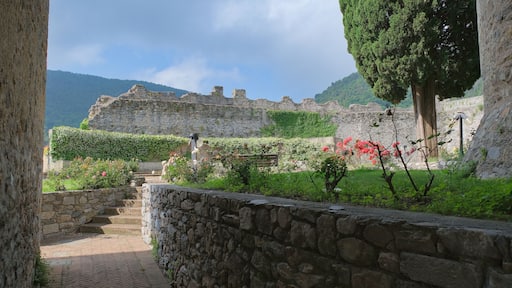 Ameglia