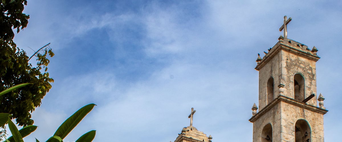 White flowers adorning the garden of a church