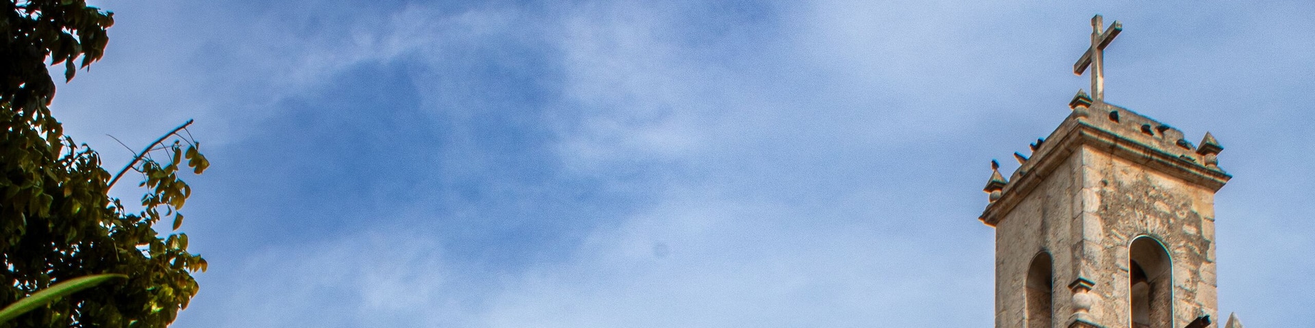 White flowers adorning the garden of a church