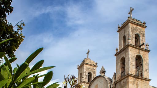 White flowers adorning the garden of a church