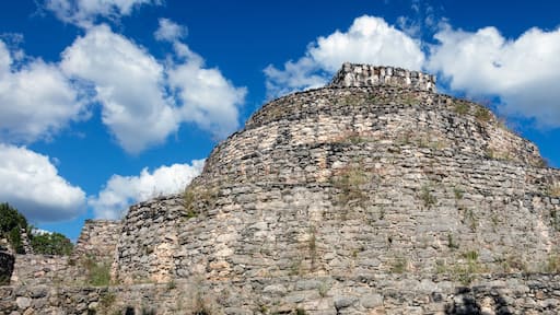 ํ
๋ชจ์กด