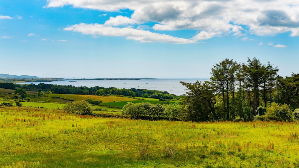 A coastal landscape with rolling hills, a body of water, and a clear sky.