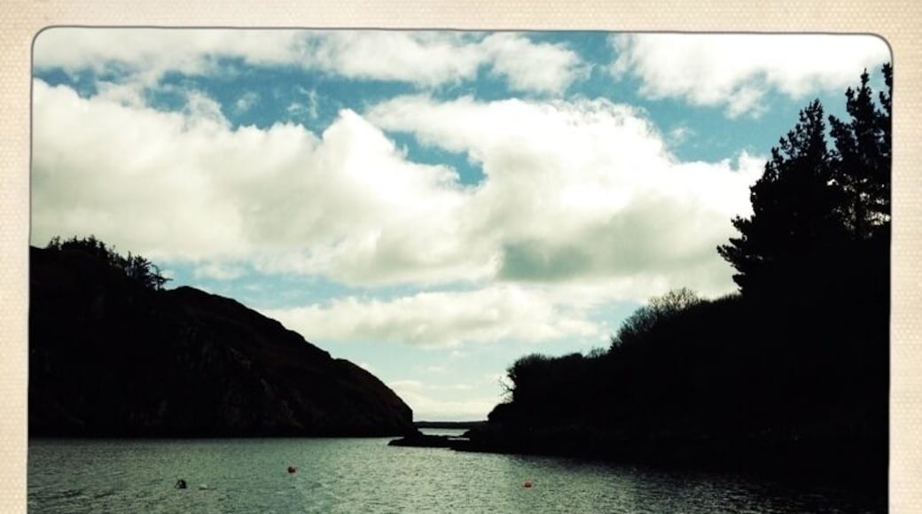 Lough Hyne