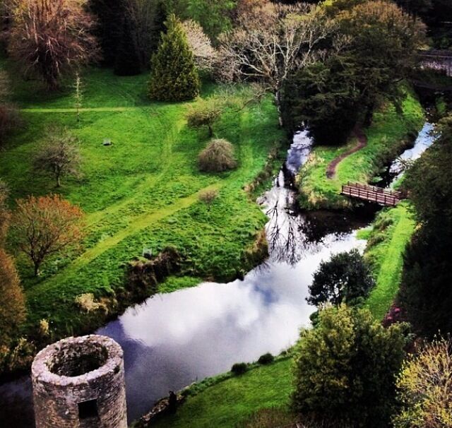 Taken from the top of a castle 