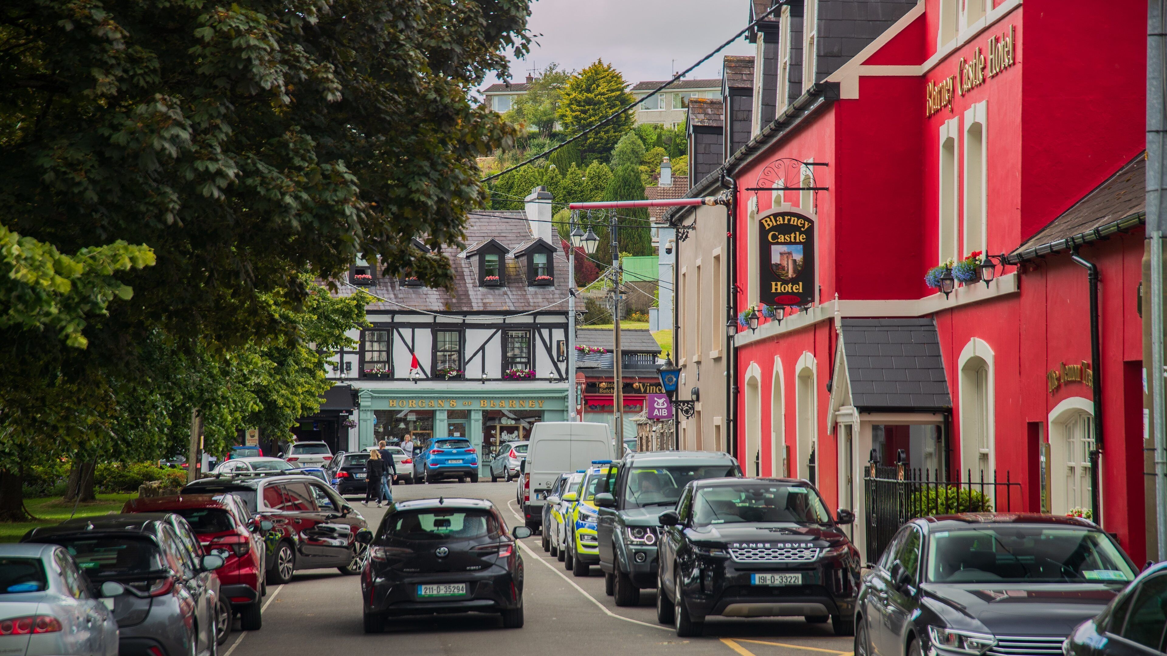 Blarney featuring a small town or village