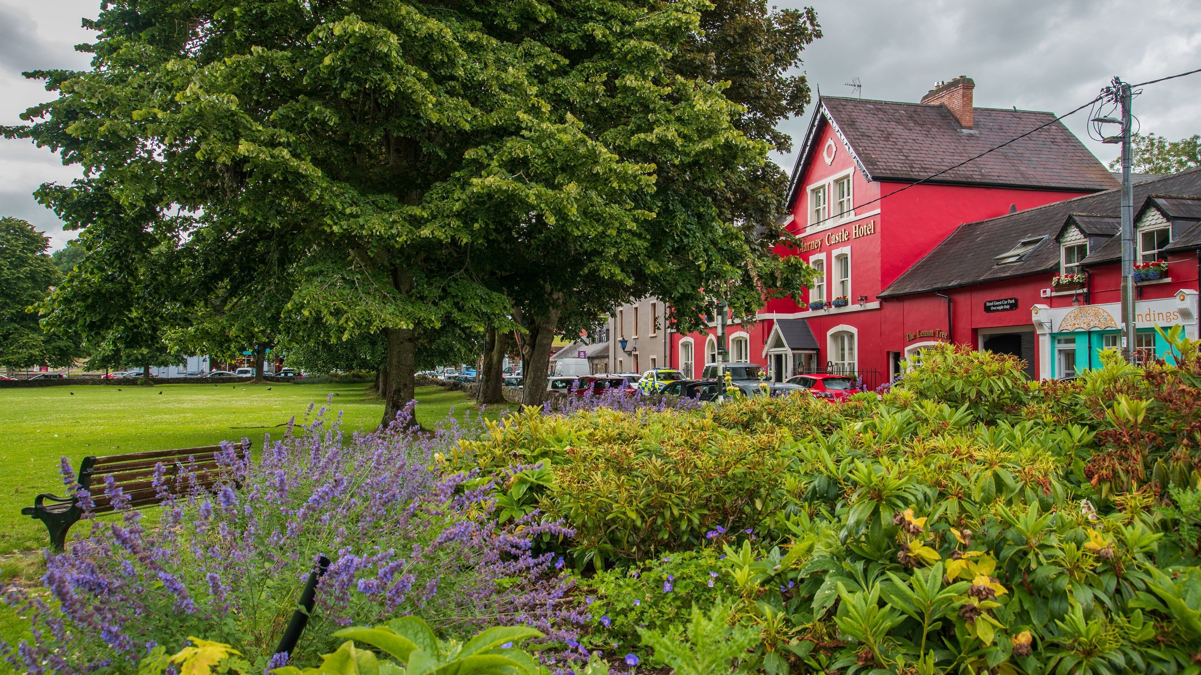 Blarney showing wildflowers, a garden and a small town or village
