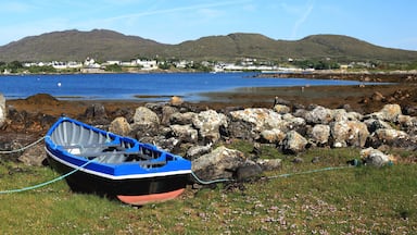 A small blue boat tied to a rock near a body of water with mountains in the background.