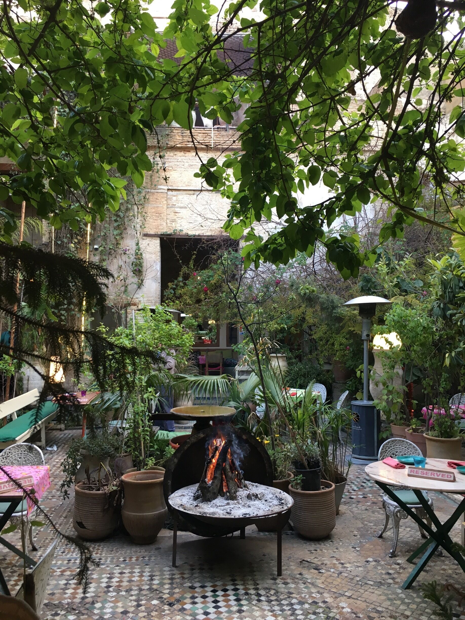 Perfect place for a romantic and relaxing meal. Set in a 400 years riad. Owners and staff are super friendly. 😊#theruinedgarden #sitbythefire #fez #old town 