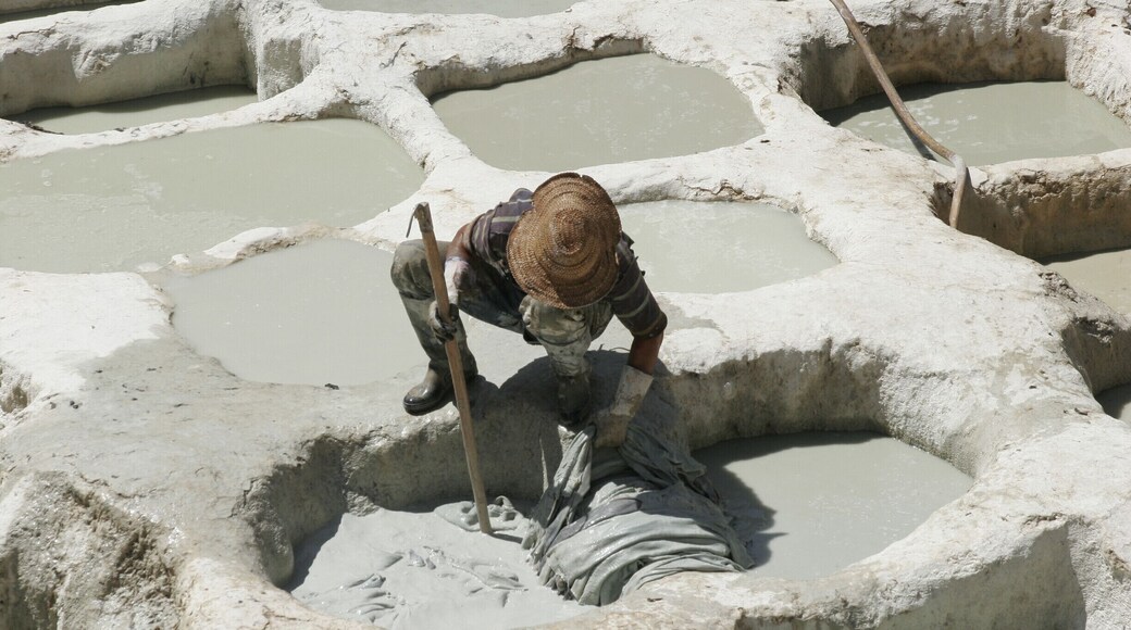 Hope you can handle the pigeon poo smell and the way leather is handle. Not a place for animal lovers....