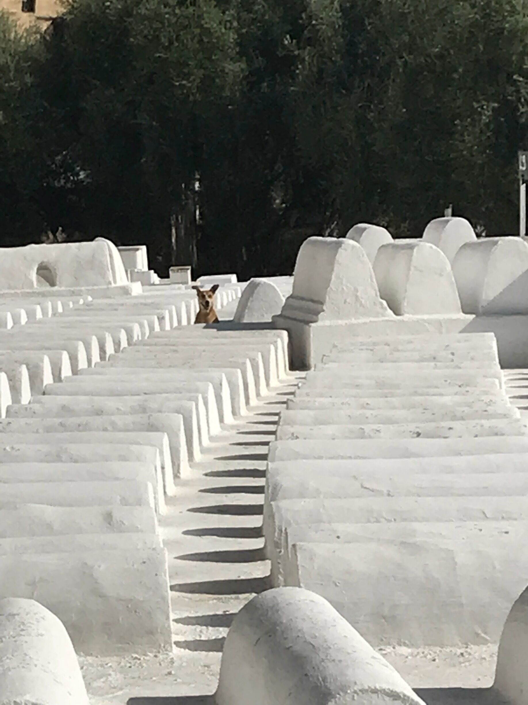 Jewish Cemetery in Fez, Morocco 
Méchouar Fèz Jdid 
#Details