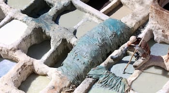 The Chouara Tannery of Fez, Morocco dates back to the 11th century, it operates much the same way it has since its inception.
In this photo a young man dyes the hides of cows, sheep, goats, and camels inside of stone vessels. The solution that they use to clean and soften the skins is a mixtures of cow urine, pigeon feces, quicklime, salt, and water. #history