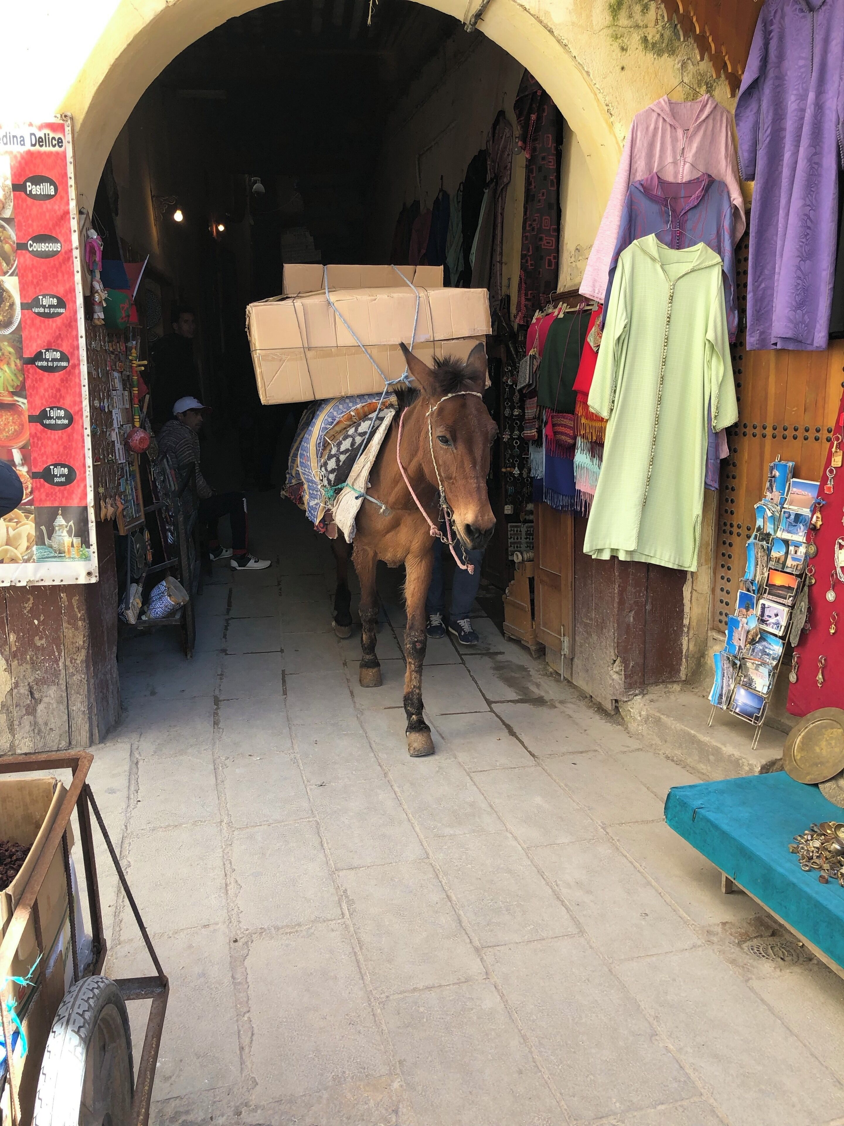 Courier inside medina in Fes, Morocco