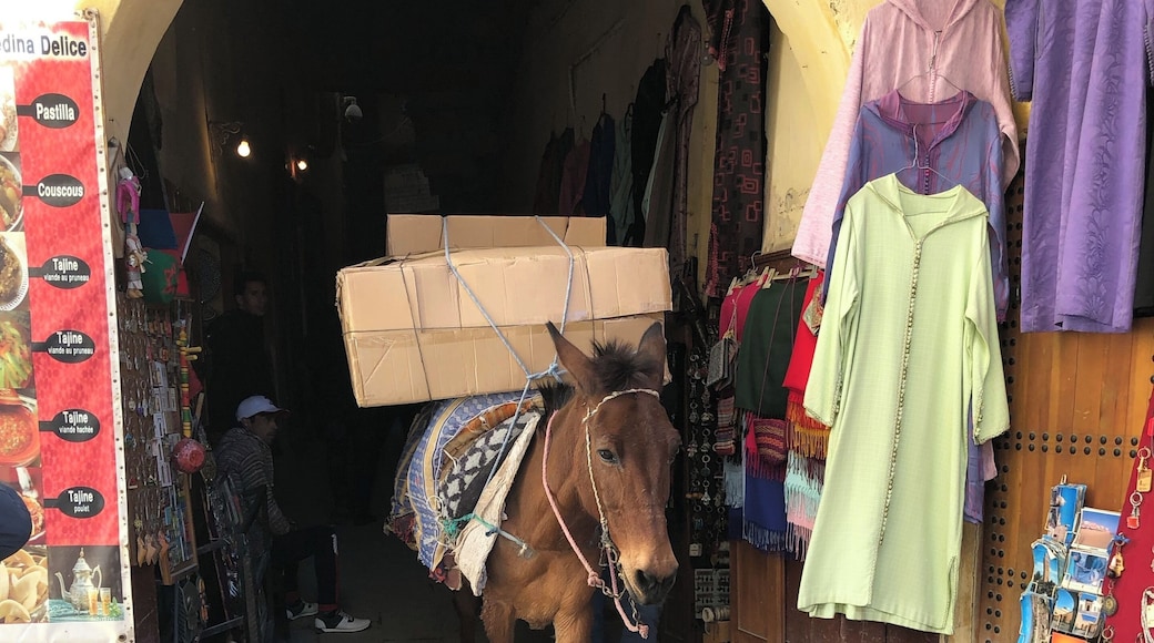 Courier inside medina in Fes, Morocco