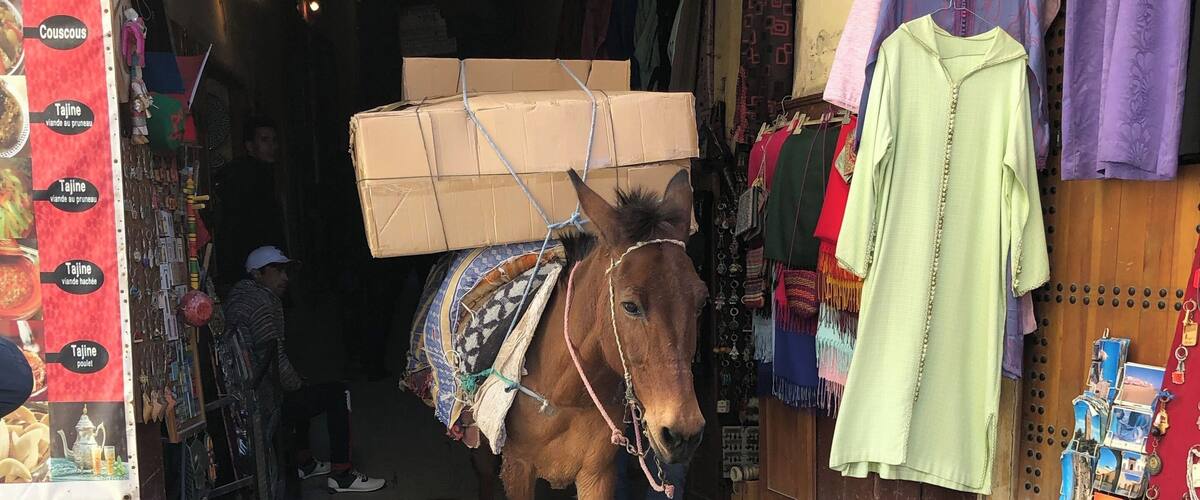 Courier inside medina in Fes, Morocco
