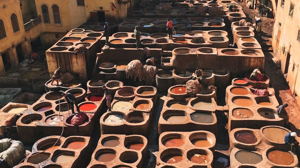 So amazing to see. Definitely make sure you bring mint to sniff though because the smell is crazy! Super hard to find. Only way to see it is to go into people houses